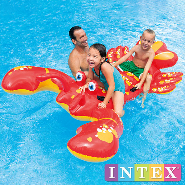 INTEX（インテックス）ビーチ用品 213×137cm 57528 | 大型 | 大きなプール屋さん | 01